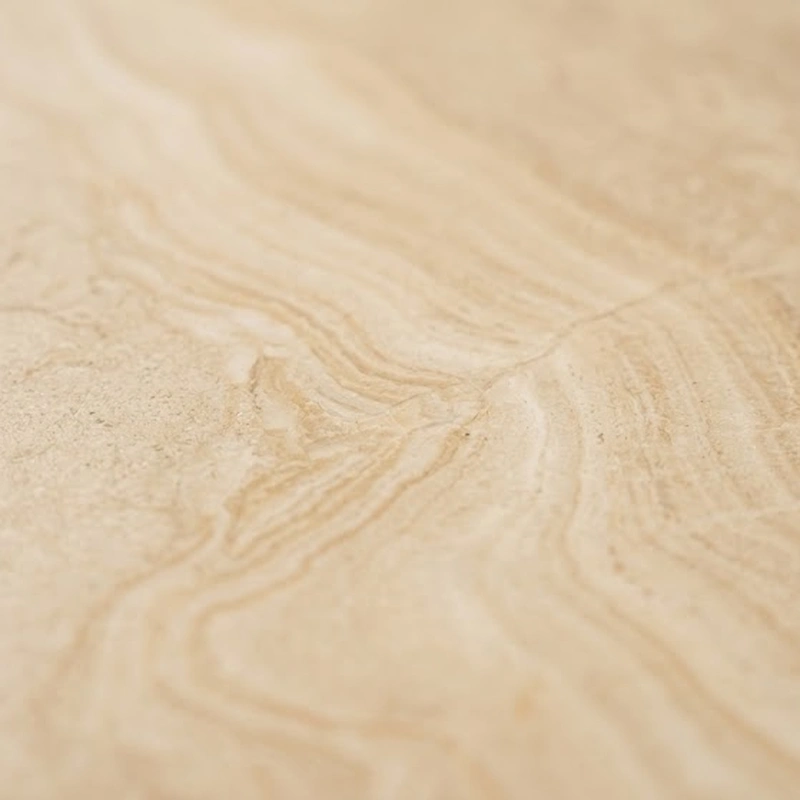 Close-up of honed Bali limestone with natural fossil inclusions